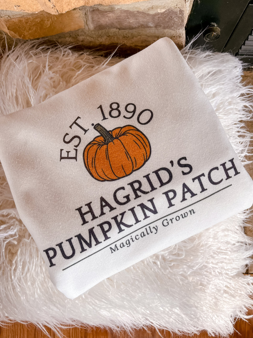 Hagrid’s Pumpkin Patch